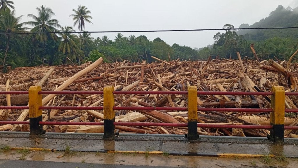 Kemenhut dan Polri bentuk tim investigasi asal kayu terseret banjir